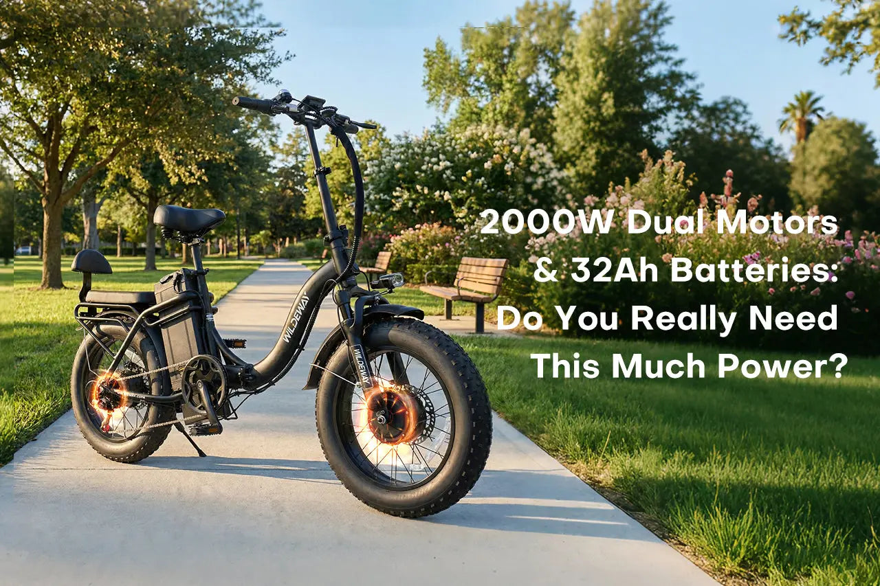 2000W Dual Motors & 32Ah Batteries - Wildeway SummitX