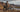 Heavy duty ebike 400 lb capacity high-carbon steel Wildeway Soared loaded with heavy outdoor gear.