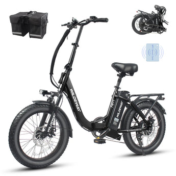 Wildeway FW11S - 15Ah Step-thru Ebike WILDEWAY
