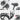 Wildeway Wander All-Terrain Fat Ebike WILDEWAY