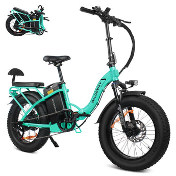 Wildeway FW11S 4.0 Folding Electric Bike WILDEWAY