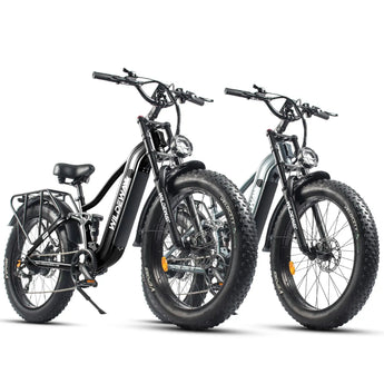 Advent Combo WILDEWAY