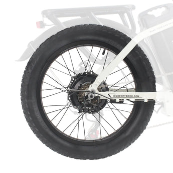 Wildeway FW11 FW11S 3.0 bike rear wheel
