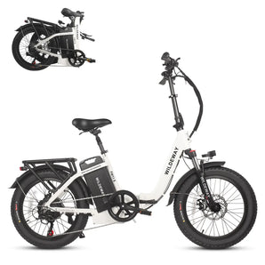 FW11S electric bike - Folding