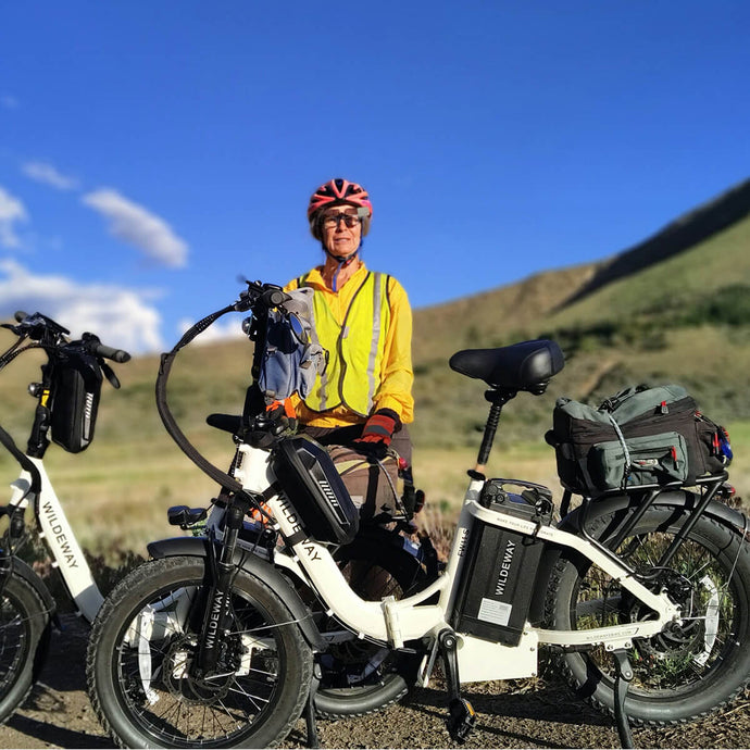 Wildeway FW11S 3.0 electric bicycle.jpg__PID:83546e07-db5e-409d-8d35-c1aa58796077