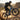 Wildeway Wander Pro / Max All-Terrain Fat Ebike WILDEWAY