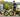 Step-over and step-through folding electric bikes compared on an autumn urban trail