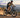 Hardcore trail rider cornering aggressively on a Wildeway Wander Max off-road electric bike featuring a double-crown suspension fork and torque sensor