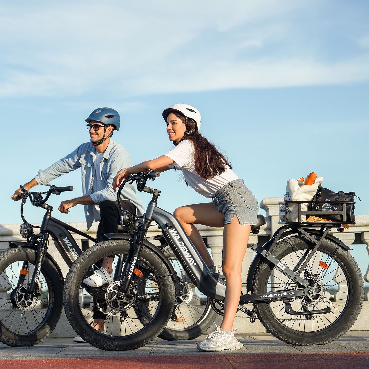 Fat Tire E-Bikes