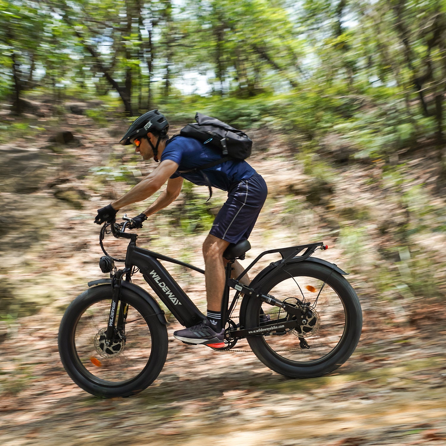 Off-Road Ebike
