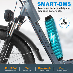 KW26 Bicycle 17.5 Amp Battery