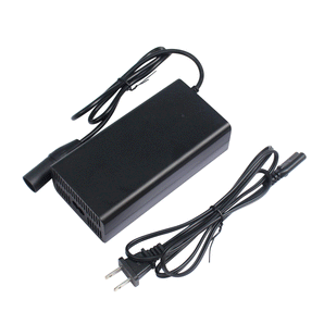 Wildeway Ebike Charger