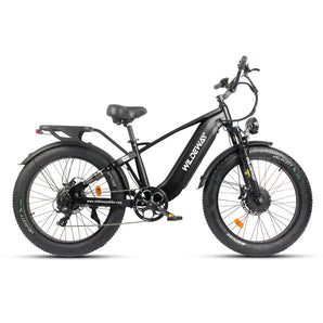 Wildeway Soared All-Terrain Fat Ebike