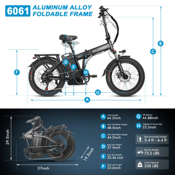 FW11 3.0 bike size