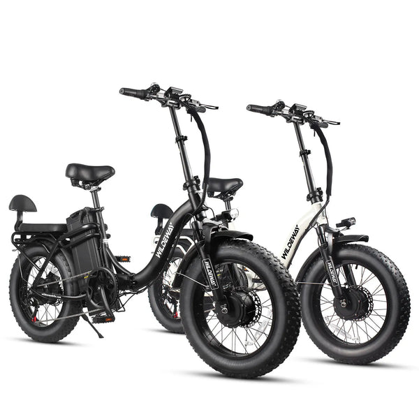 SummitX Ebike with Dual Motor (Peak 2000W) and 60Ah Battery | Wildeway