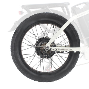 Wildeway FW11 FW11S 3.0 bike rear wheel