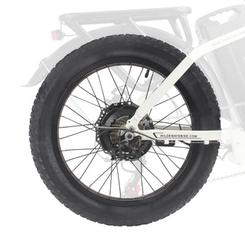 Wildeway FW11 FW11S 3.0 bike rear wheel