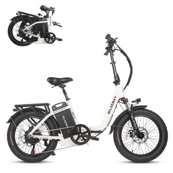 FW11S electric bike - Folding