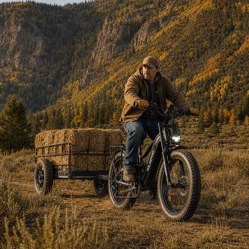 Pack up all your gear and go camping!