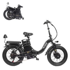 Wildeway SummitX Ebike