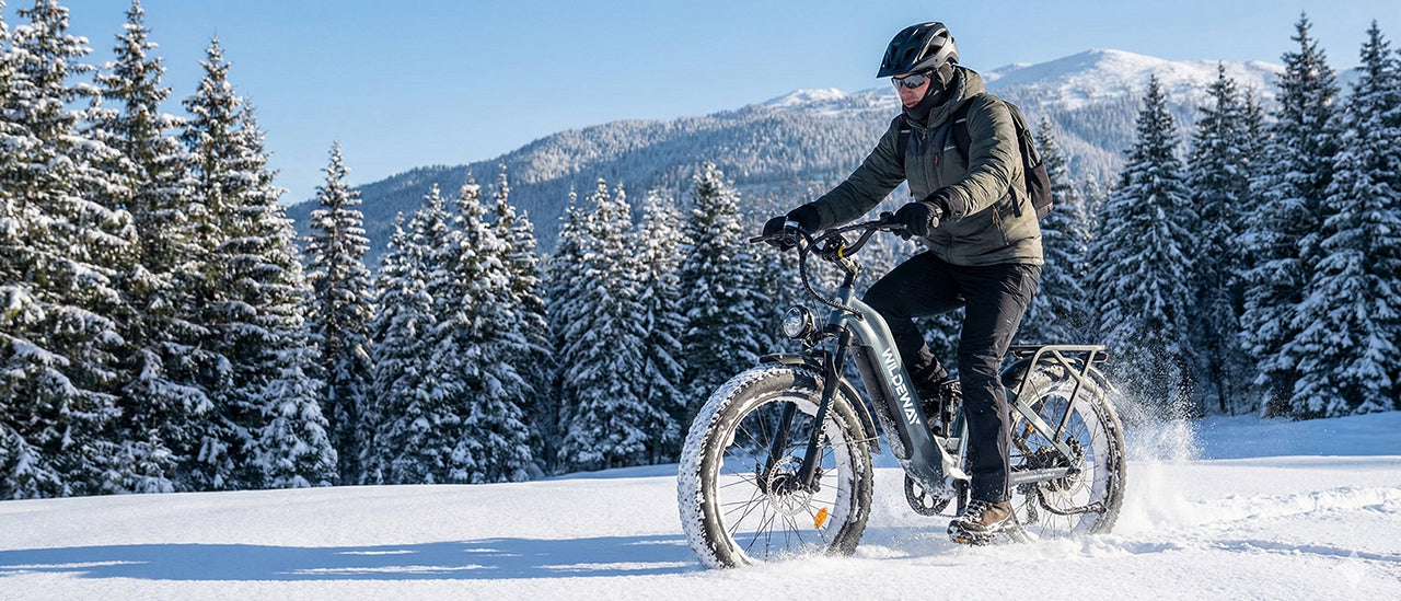 All-Terrain Fat Tires