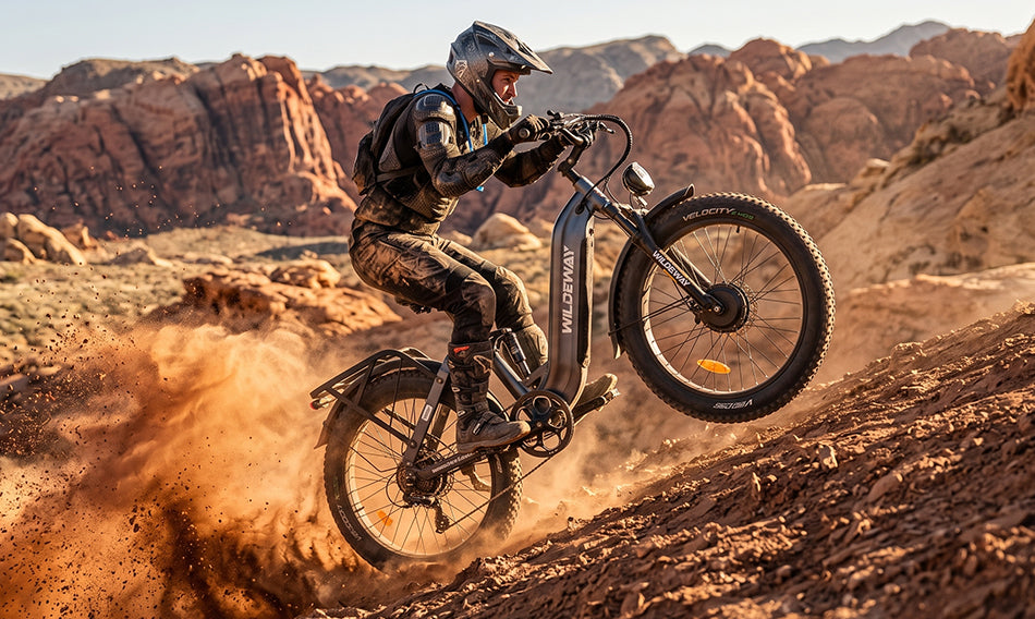 Unleash Dual-Motor Power